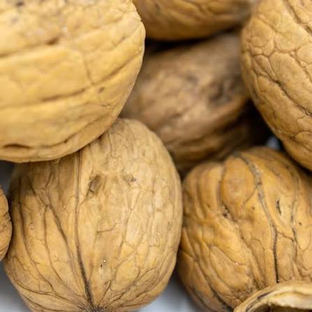 تصویر 1 از گردو کاغذی عالی + خرید به صرفه